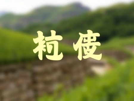 六合彩特碼分析與預測